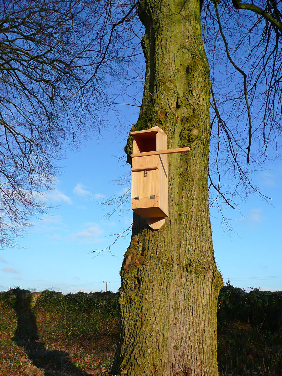 Tawny Owl Nest Box – WELL FED BIRDS